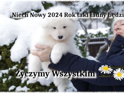 Nowy Rok